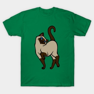 Begging for Pettings--Siamese Style! T-Shirt